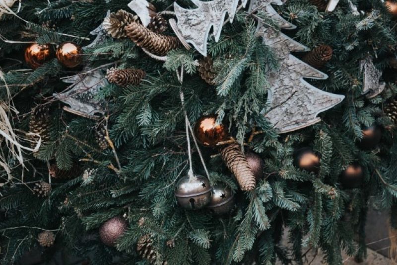 How to avoid disappointment when buying Christmas trees: the ultimate purchase guide